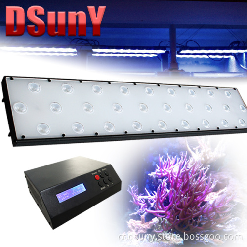 Programmable LED Aquarium Light for Fish with Living Rock, No Fan Noise, Sunrise/Sunset/Lunar, 112*3W